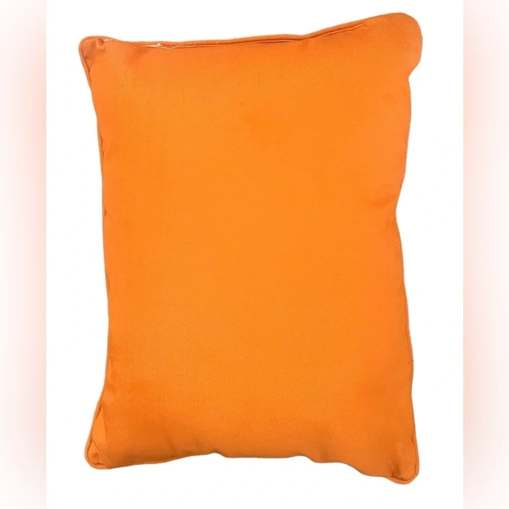 Halloween witch pillow 16”x12”